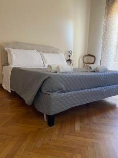 I tulipani - 1