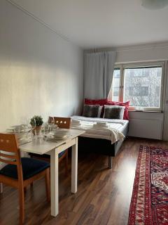 Arctic Cozy Studio in the City - 4