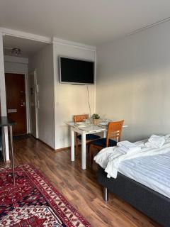 Arctic Cozy Studio in the City - 3