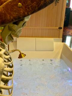 Pirate Mood - Jacuzzi - Sauna - Jeux d'arcade - Billard - Nintendo - TV XXL - 2