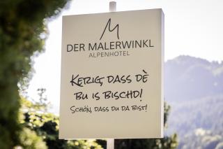 Der Malerwinkl - Alpenhotel - 7