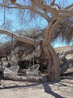 Mountainview Arava - 6