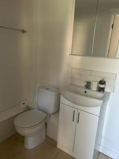 Pretty, spacious and quiet one bedroom garden flat - 1