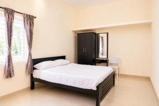 The Mango Tree - 8