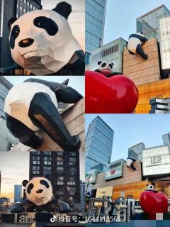 成都缤舍S酒店Chengdu Binshe S Hotel - 8