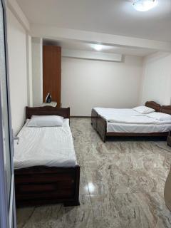 Alisa guest house - 5