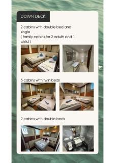 Liveaboard Safari aboard Lyra - 8