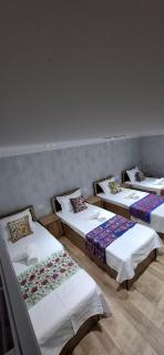 ANISA Hotel - 1