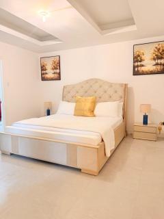 2BR and 1BR Spacious City Apartments with roof-top pool - 3