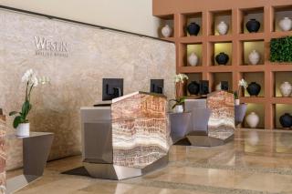 The Westin Los Cabos Resort Villas - Baja Point - 1