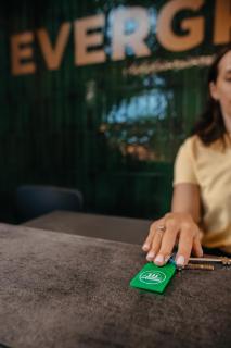 АпартГотель Evergreen - 5
