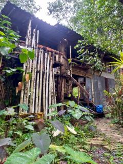 Little Boy House - 8