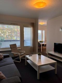 Kotimaailma Apartments - tilava parvekkeellinen kodikas kolmio - Pinninkatu - 6
