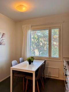 Kotimaailma Apartments - tilava parvekkeellinen kodikas kolmio - Pinninkatu - 4