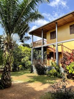 Les Chambres du Jardin Tropical - 8