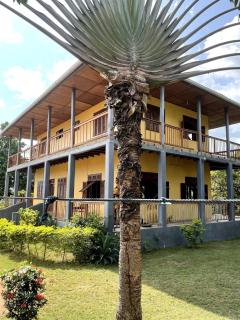 Les Chambres du Jardin Tropical - 0