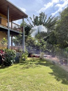 Les Chambres du Jardin Tropical - 3