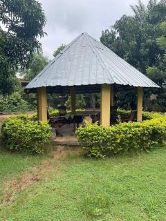Les Chambres du Jardin Tropical - 1