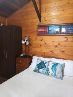 Tiny House Novas Palmeiras - 2