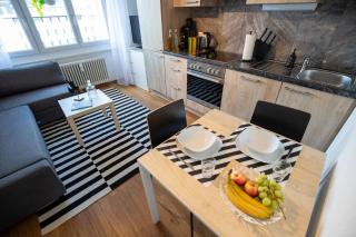 Urban Smart Living near Basel SBB & City Center - Special PICCO PICASSO 51 Apartment, up to 4 guests - 1