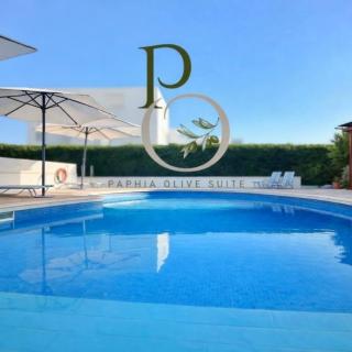 Paphia Olive Suite - 0