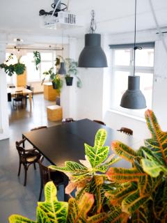 LIANE - Urban Jungle Loft - 9