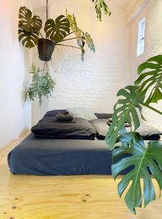 LIANE - Urban Jungle Loft - 1