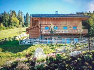 Traumhaftes Winterchalet Colat - 4