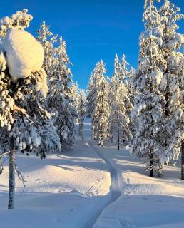 Arctic circle cabin 2 - 5
