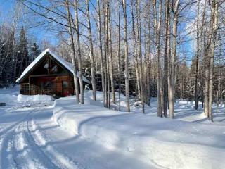 Chalet Chaleureux avec foyer intérieur - 9
