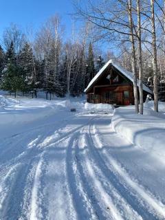 Chalet Chaleureux avec foyer intérieur - 1