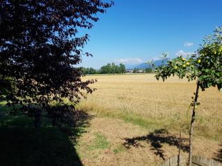 Près du lac, pas loin des montagnes - 6