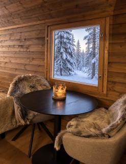Arctic circle cabin 1 - 7