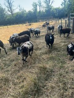 Hebron Farm Cottage - 2