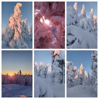 Aurora Cottage Ounasvaara by BookLapland - 8