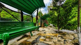 In Forest Resorts - 1