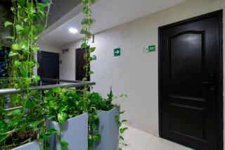 Hotel Avexi Suites By GEH Suites - 1