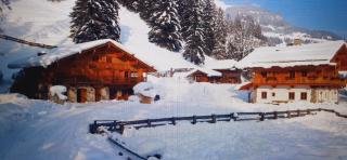 Wunderschönes Chalet Crevot - 4