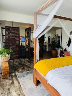 Alaya's stunning studio with a beautiful garden - 5