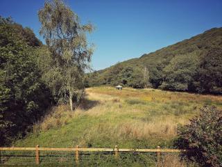 Rosemarsland - 1