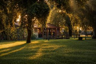 Château Davitiani - 8