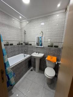 Entire apartment, newly renovated - 3