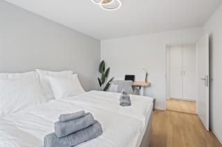 Ruhiges, modernes Apartment Reinach Basel - 7