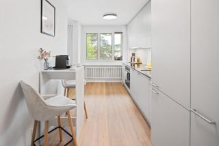 Ruhiges, modernes Apartment Reinach Basel - 6