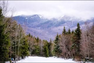 Spacious Private Home in White Mountains-Loon-Owl - Thornton - 4