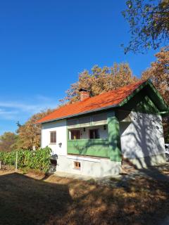 Kellerstöckl Vinifera - 5