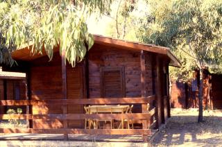 Villaggio Camping Uria - Foce Varano - 0