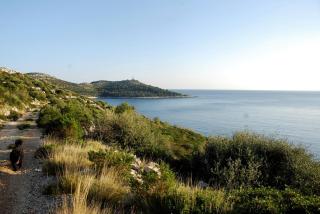 Apartments Silvana - Lastovo - 7