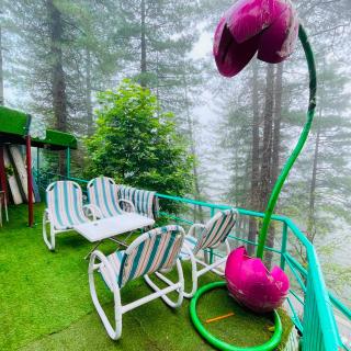 Misty Peaks Resort - Murree - 9