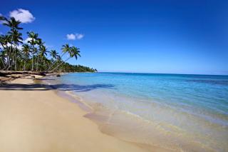 Bahia Principe Grand El Portillo - All Inclusive - Las Terrenas - 3